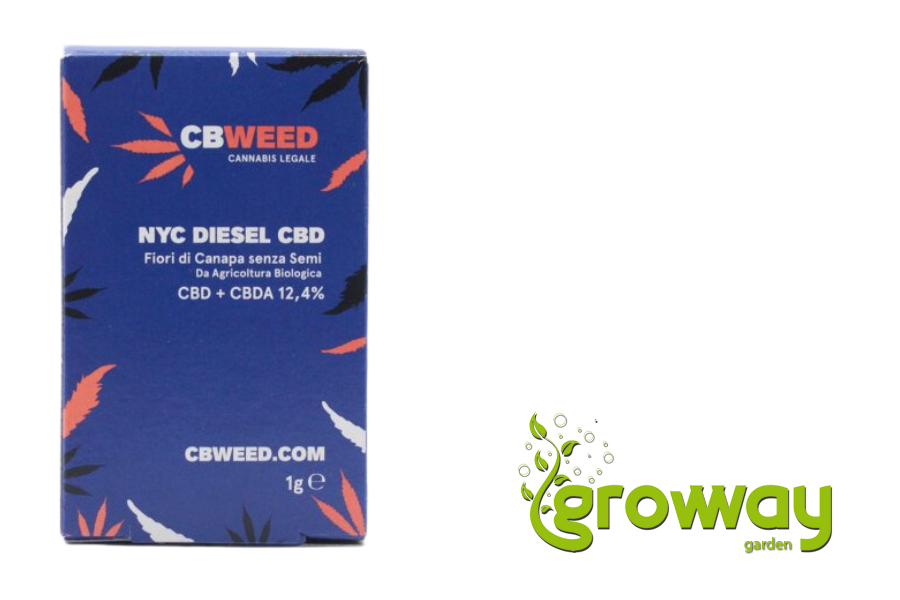 CBD konopí NYC Diesel CB-weed