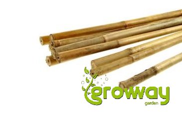 Bambusová tyč